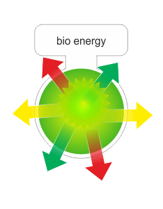 bio energy.png