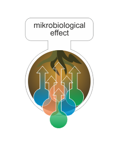 microbiological%20effect.png