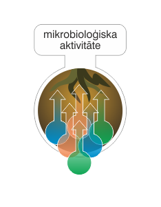 mikrobiologiska aktivatate.png